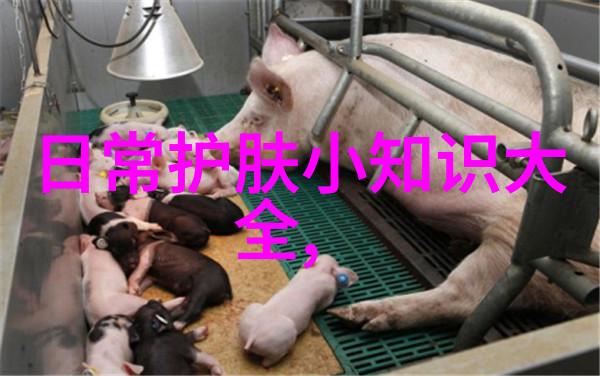 黑眼圈怎么遮瑕小窍门底子不够遮瑕来救