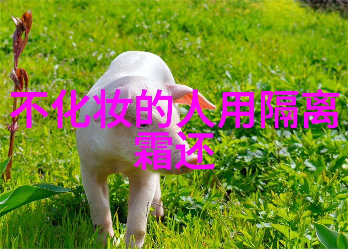 照相馆拍照风格有哪些