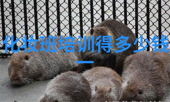 三个方块的口红是什么牌子
